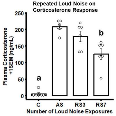 Determination of steady-state transcriptome modifications associated with repeated homotypic stress in the rat rostral posterior hypothalamic region
